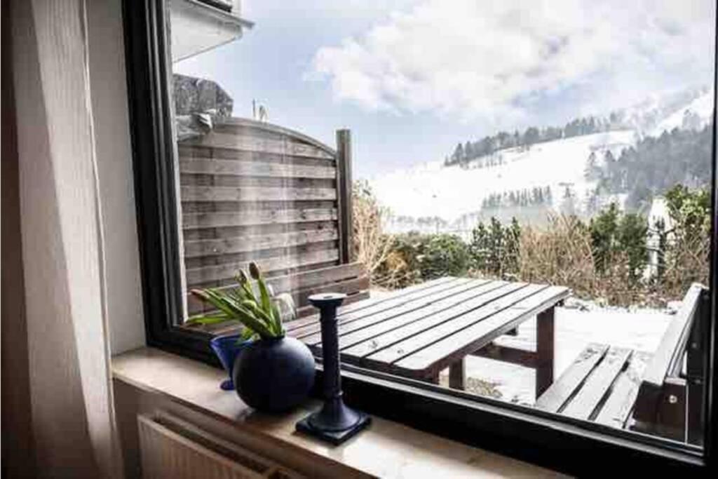 Feriehaus Maple Leaf Villa Willingen  Luaran gambar